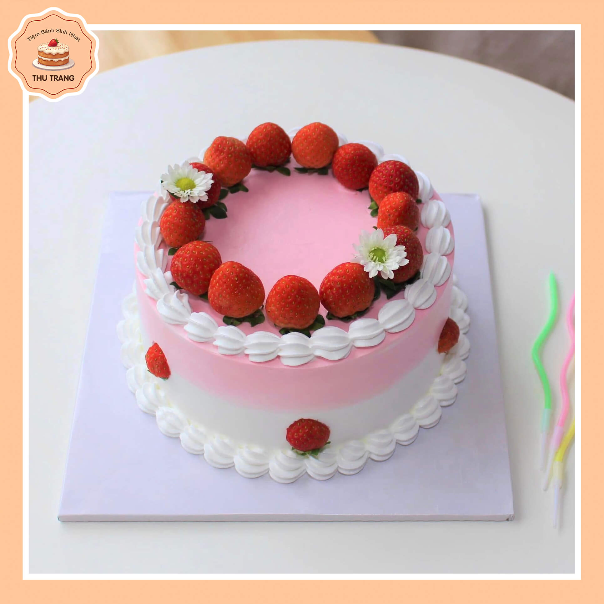 mẫu bánh kem sữa tươi tại Vĩnh Long